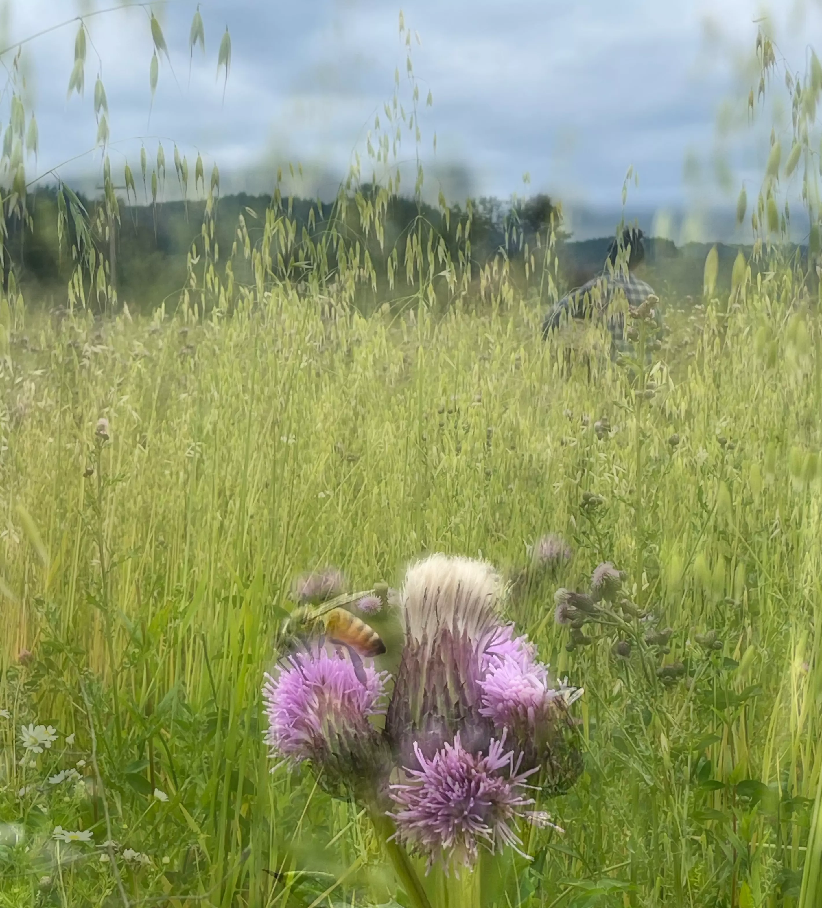 The agroecological method