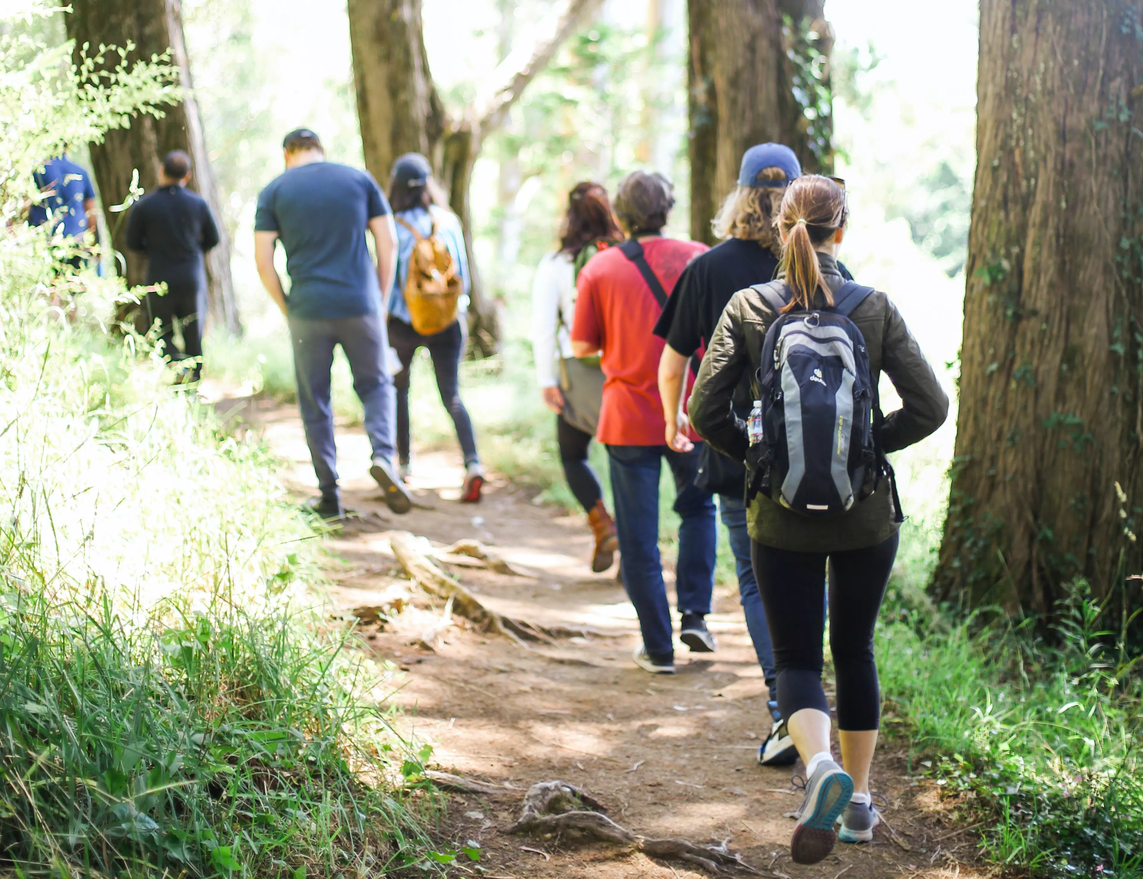 Image of people on a hike in Marin